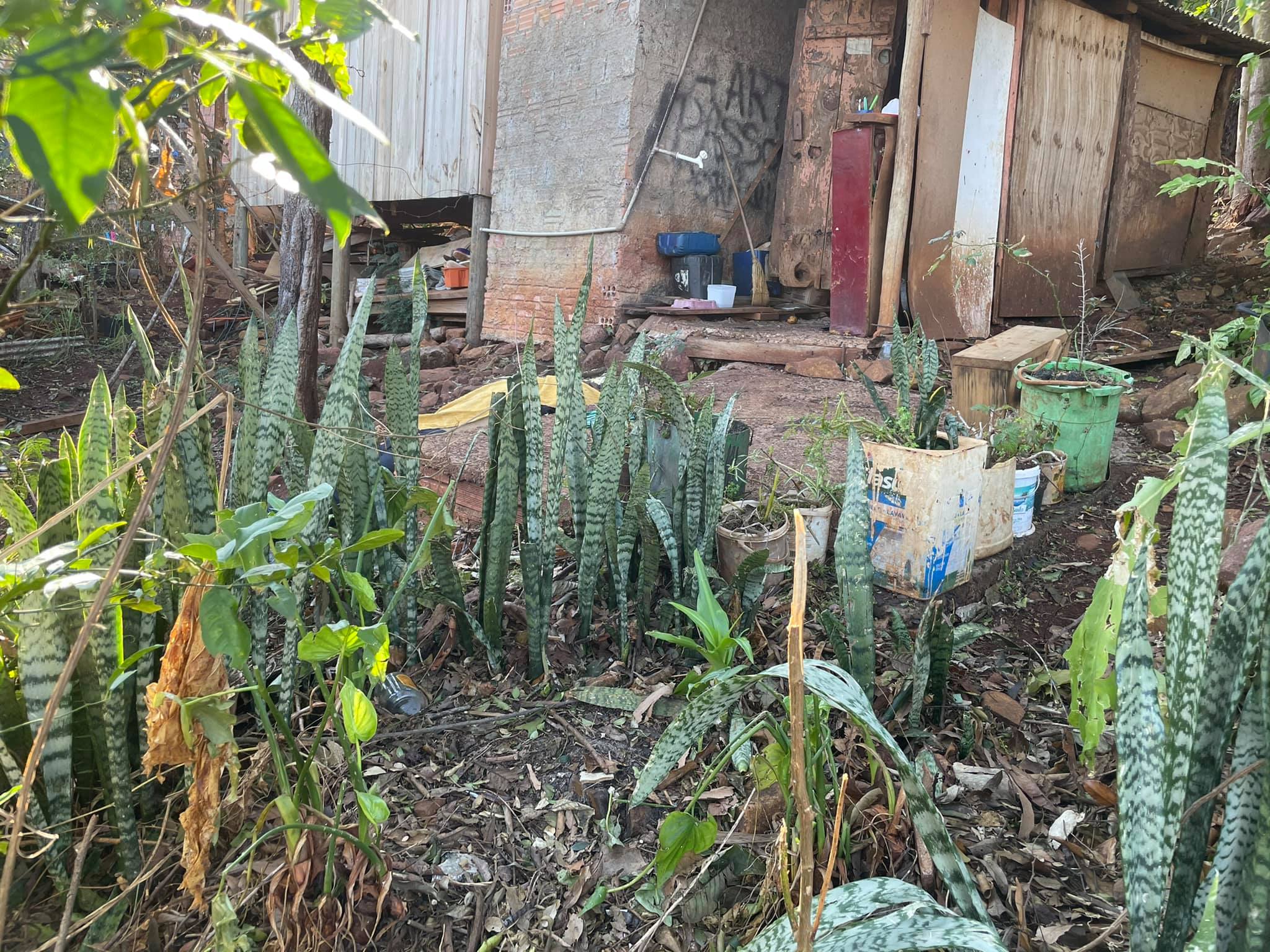 Homem é morto a golpes de barra de ferro em Coronel Vivida